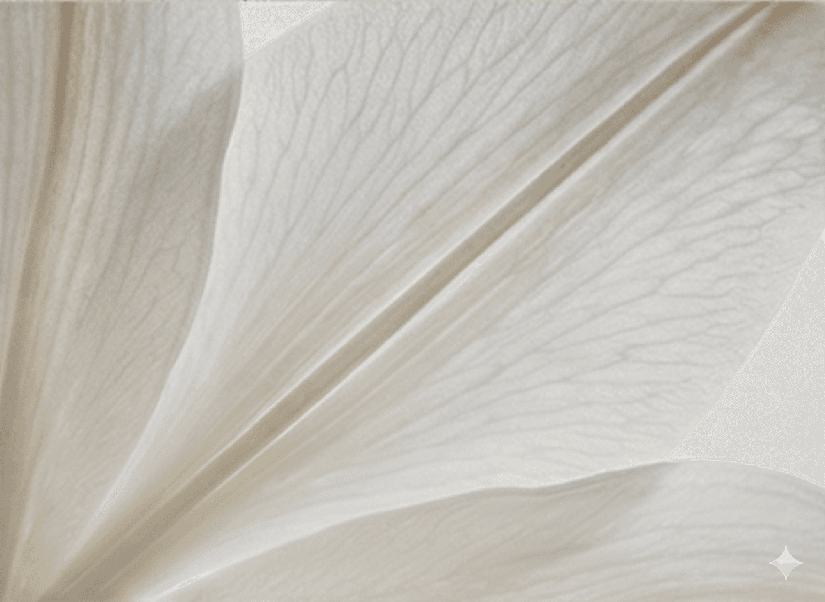 Equilibrio y Simetría